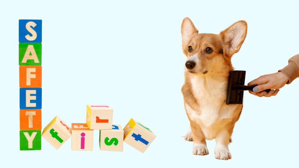 Slicker Brush Safety ⛑ Avoiding Irritation and Injury Slicker Brush