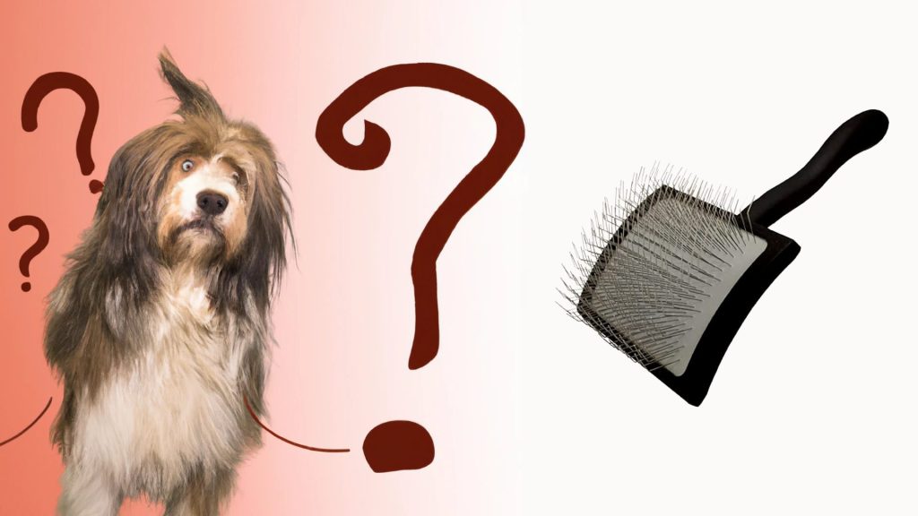 What is a Slicker Brush? Slicker Brush
